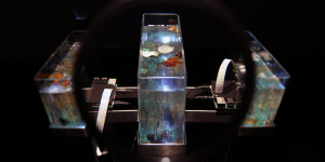 Time Displacement / Chemobrionic Garden