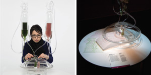 Algaerium Bioprinter and Algae Printing