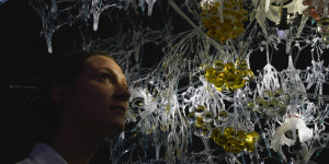 Sentient Veil