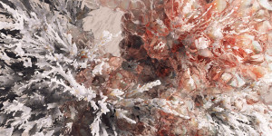 Quantum Fluctuations