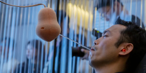 Journey on the Tongue