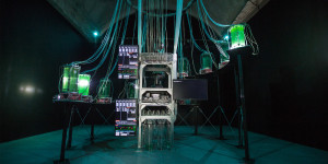CMD: Experiment in Bio Algorithmic Politics
