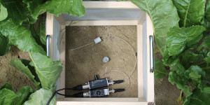 Sounding Soil