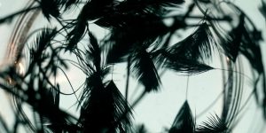 Stymphalian Birds