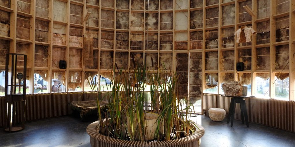 The Growing Pavilion