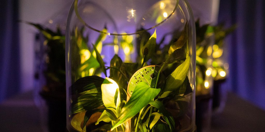 The Living Light