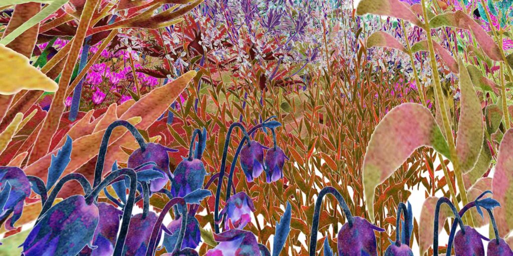 Pollinator Pathmaker