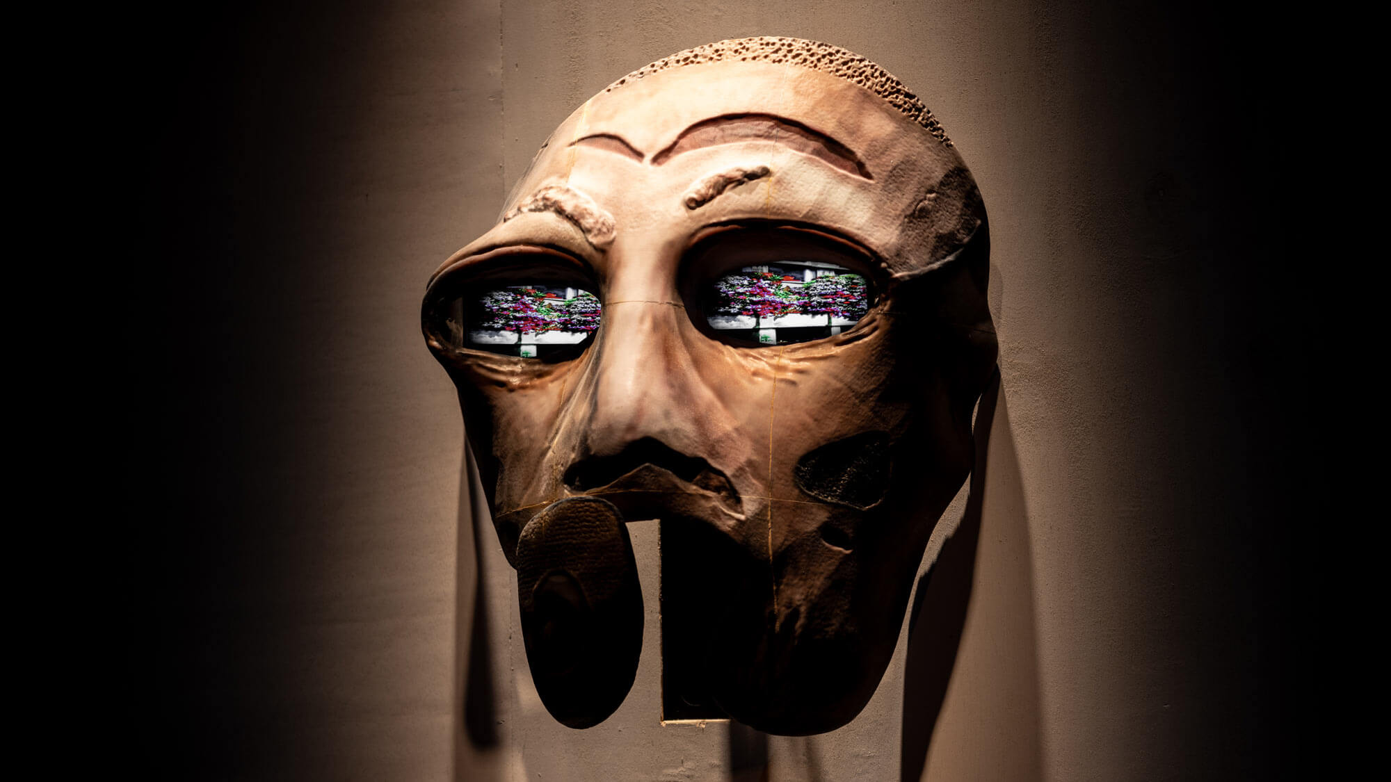 AE Gallery Image Slide