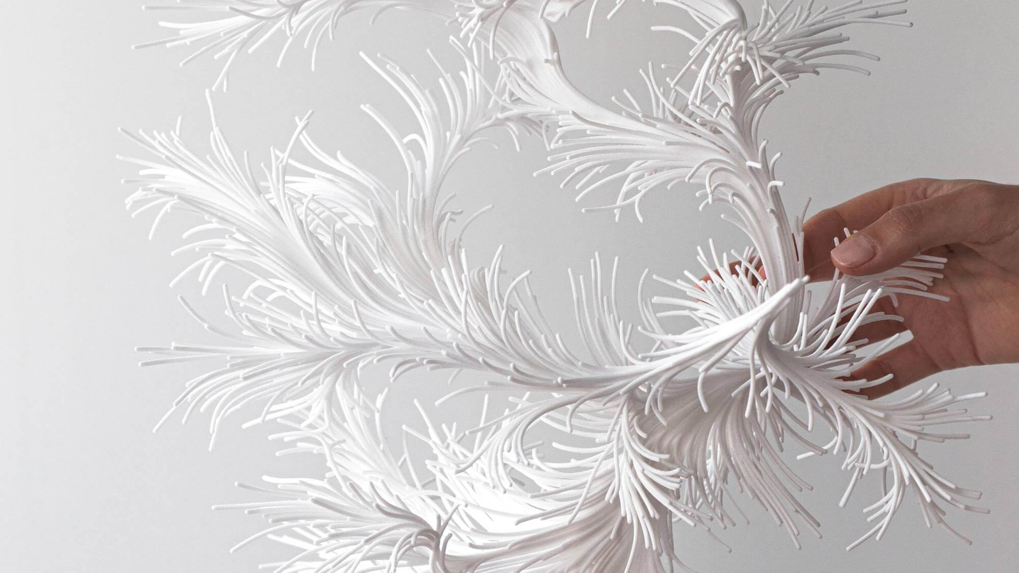 AE Gallery Image Slide