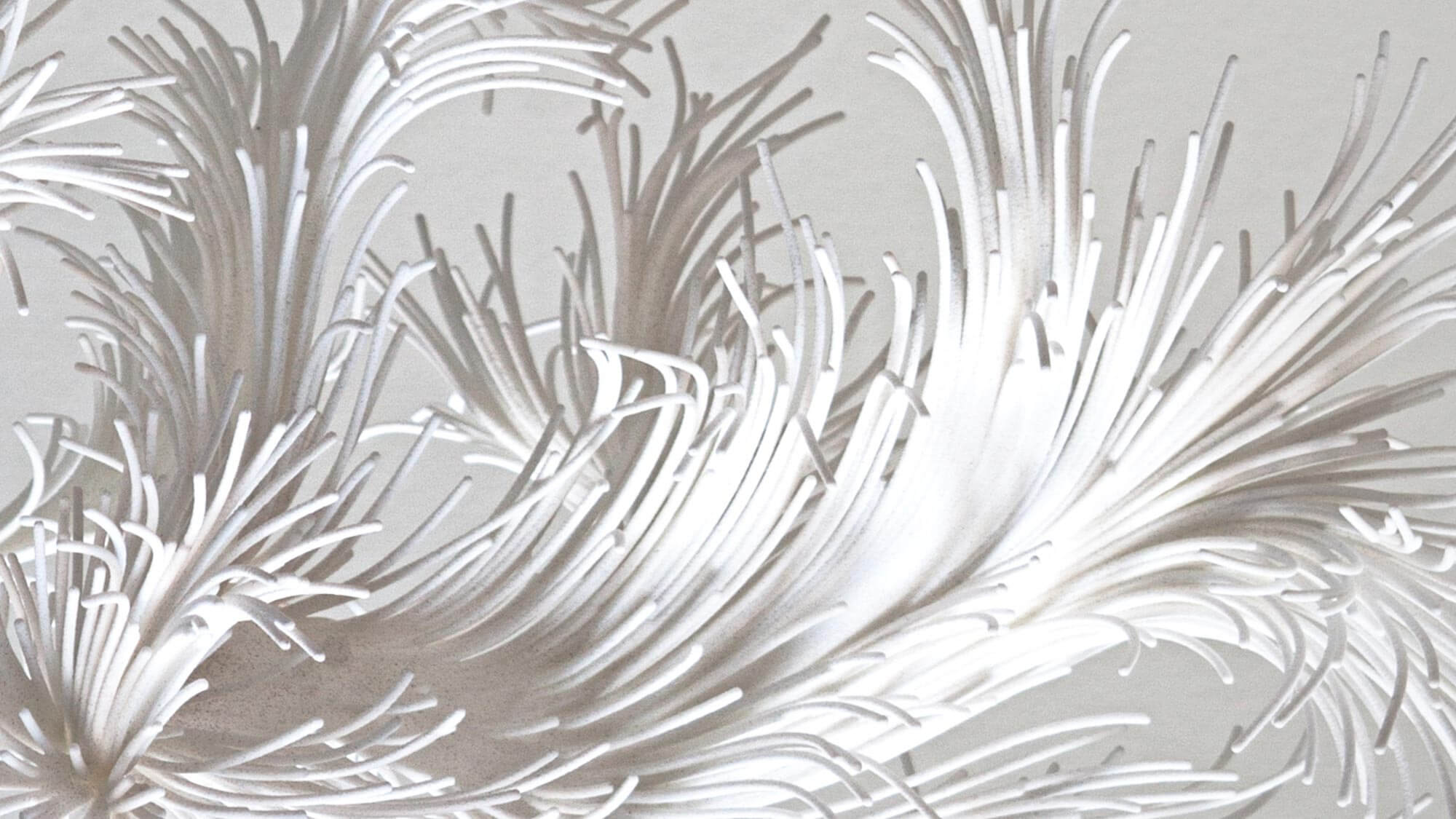 AE Gallery Image Slide