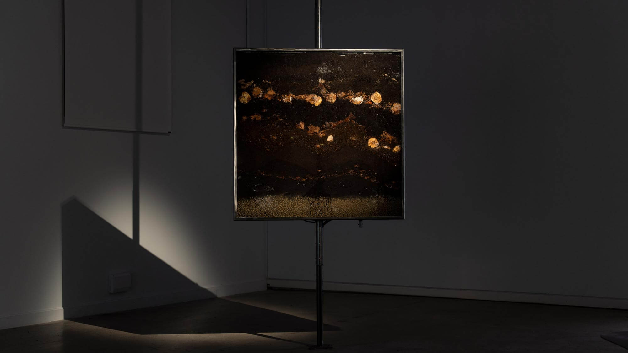 AE Gallery Image Slide