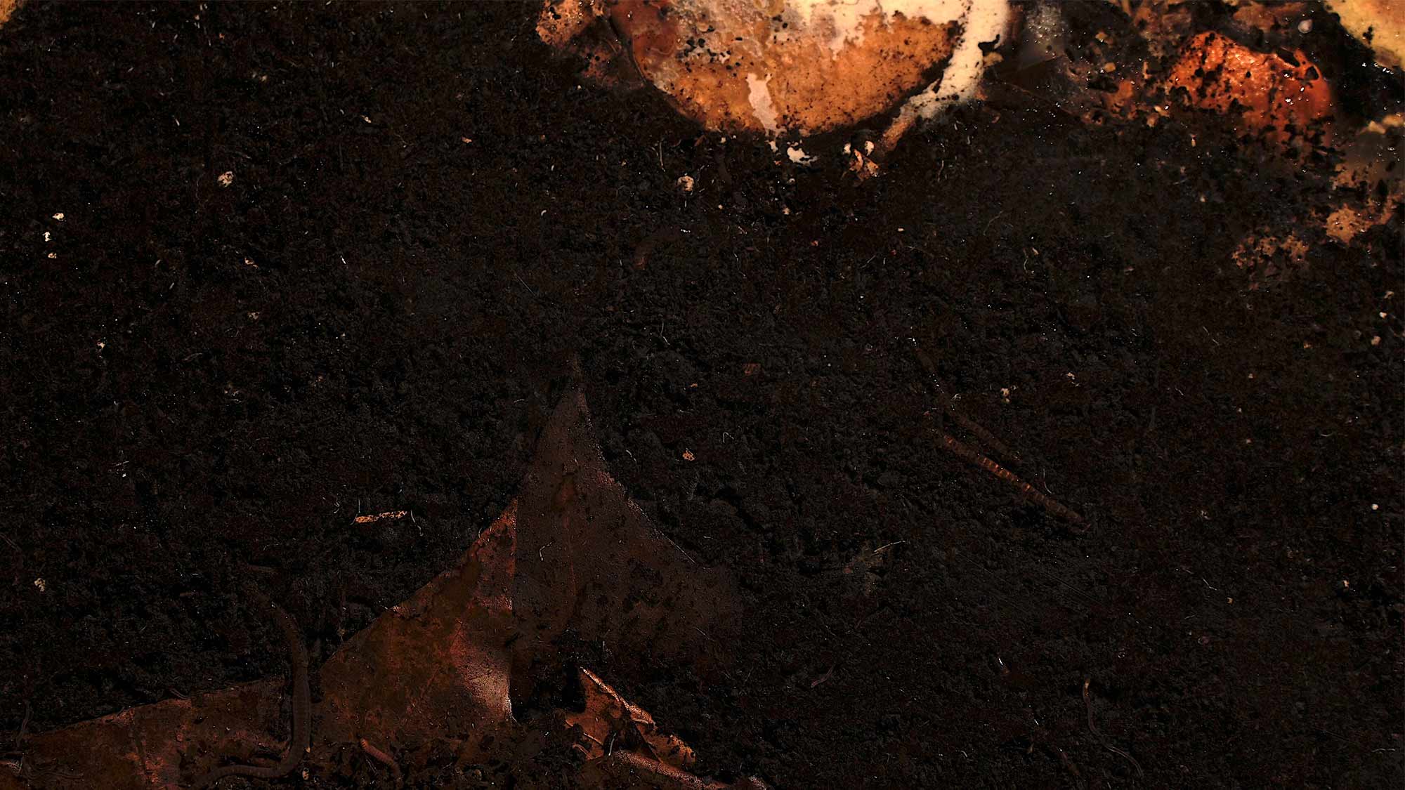 AE Gallery Image Slide
