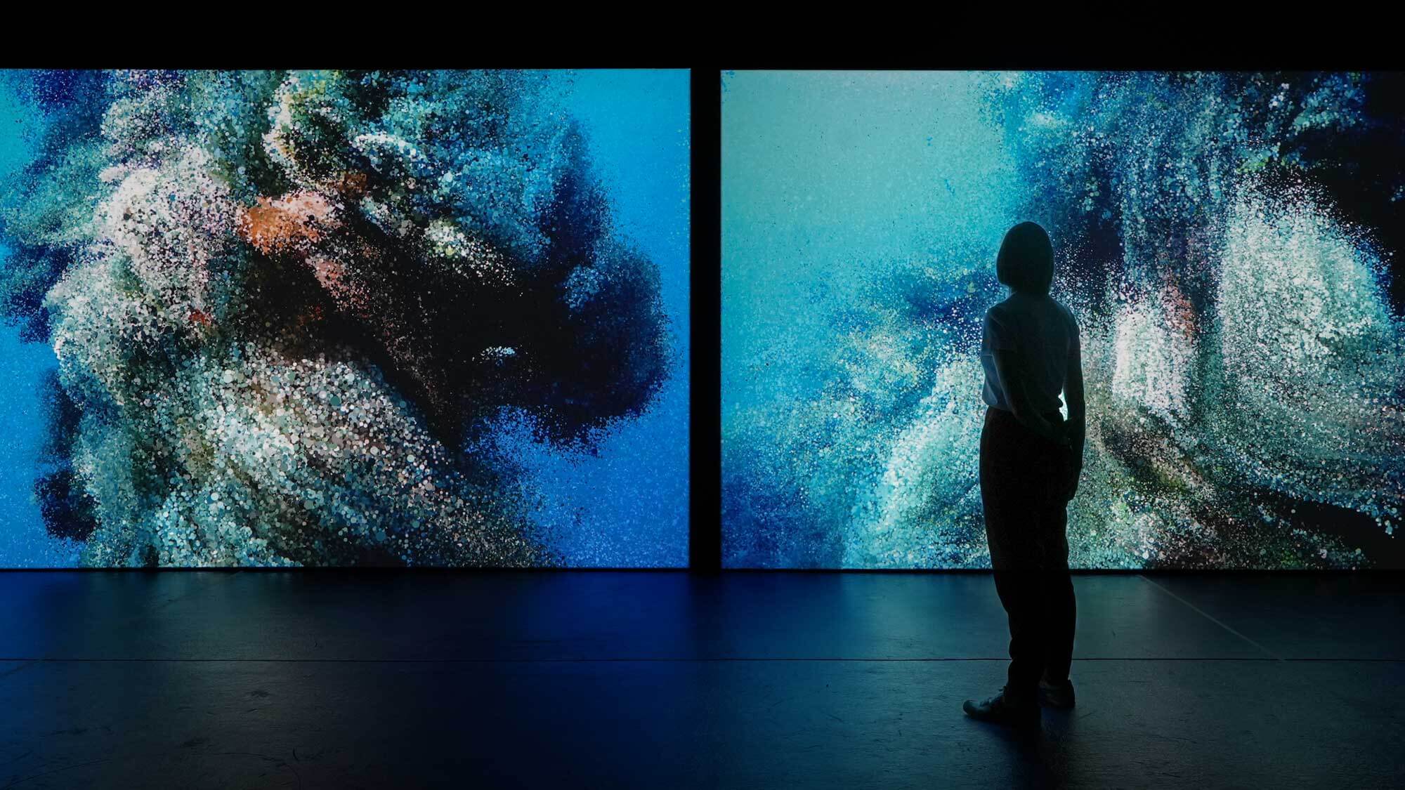 AE Gallery Image Slide