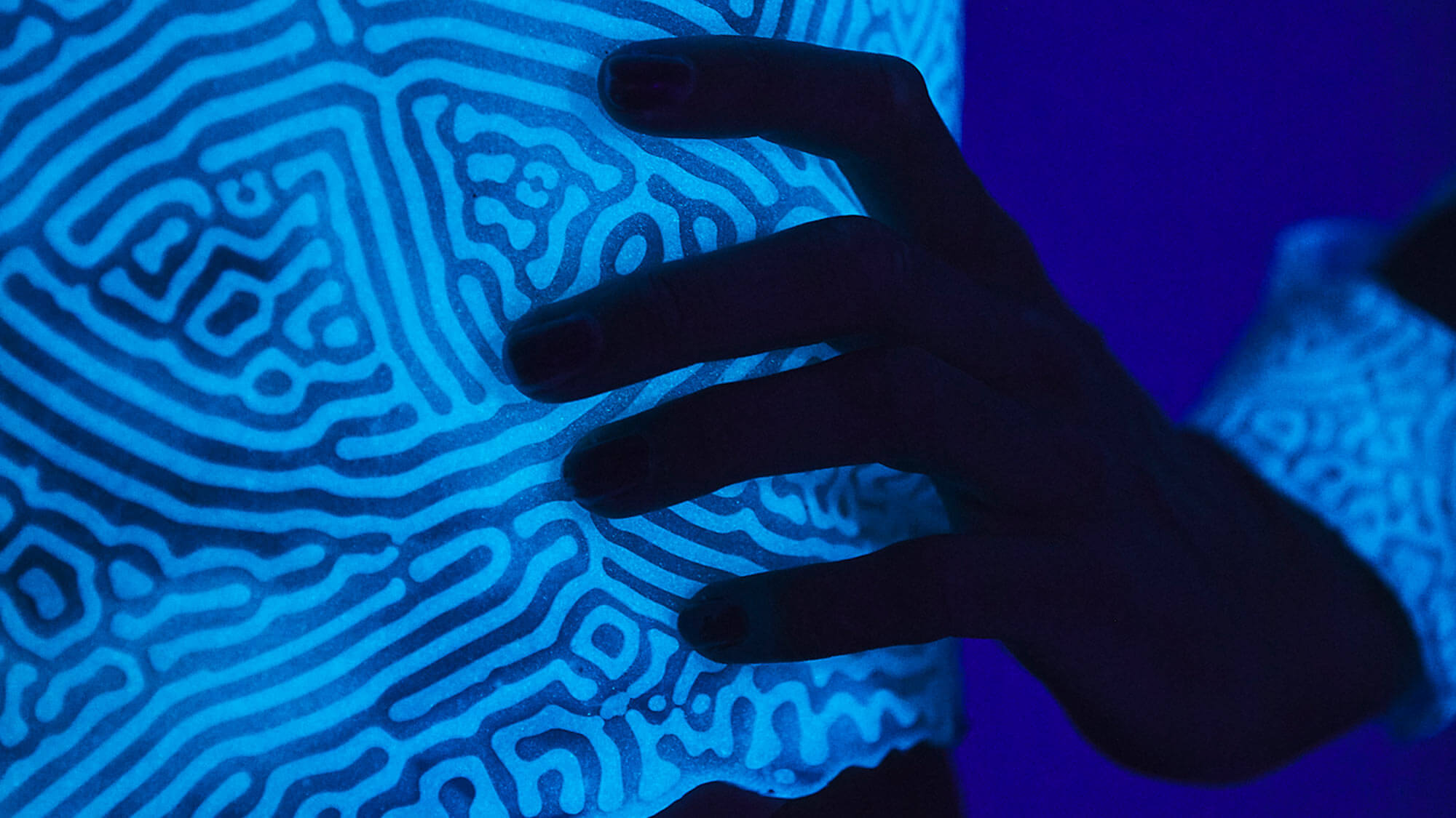 AE Gallery Image Slide